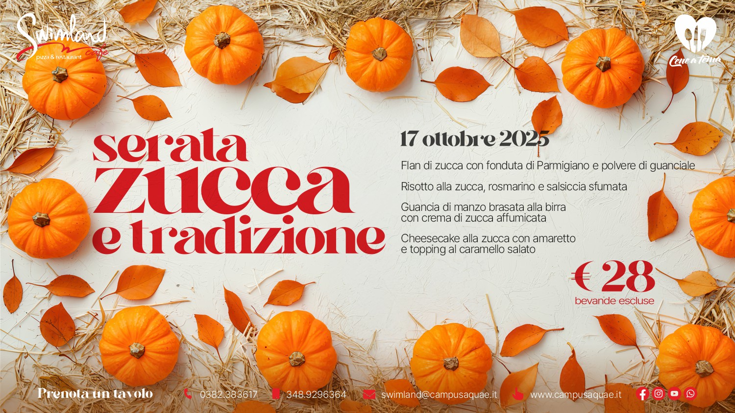 zucca_2025_web